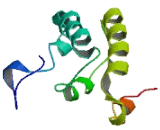 Small Membrane A-Kinase Anchor Protein (smAKAP)