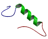 Family With Sequence Similarity 209, Member B (FAM209B)