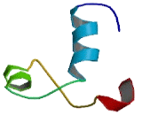 TBC/LysM Associated Domain Containing Protein 2 (TLDC2)