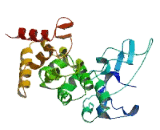 Double Zinc Ribbon And Ankyrin Repeat Containing Protein 1 (DZANK1)