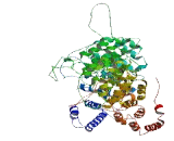 Maestro Heat Like Repeat Containing Protein Family Member 8 (MROH8)