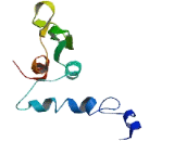 Chromosome 20 Open Reading Frame 141 (C20orf141)