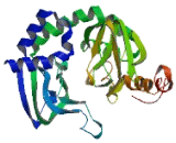 Cyclic Nucleotide Binding Domain Containing Protein 2 (CNBD2)