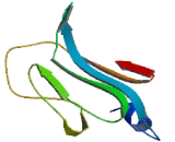 Chromosome 20 Open Reading Frame 173 (C20orf173)