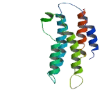 Family With Sequence Similarity 217, Member B (FAM217B)