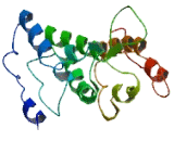 Chromosome 20 Open Reading Frame 196 (C20orf196)