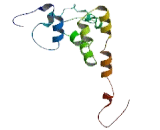 LKAAEAR Motif Containing Protein 1 (LKAAEAR1)