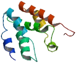 Chromosome 20 Open Reading Frame 202 (C20or<b>f202</b>)