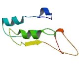 Chromosome 20 Open Reading Frame 27 (C20orf27)