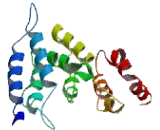 Adaptor Related Protein Complex 5 Sigma 1 (AP5s1)