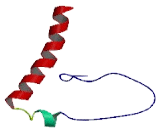 Lysosome Associated Membrane Protein 5 (LAMP5)