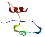 Transmembrane Protein 46B (TMEM74B)