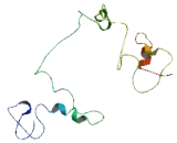 Chromosome 20 Open Reading Frame 62 (C20orf62)