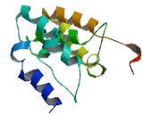 Chromosome 20 Open Reading Frame 85 (C20orf85)