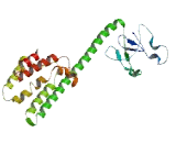 Chromosome 20 Open Reading Frame 96 (C20orf96)