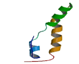 URB1 Antisense Gene Protein 1 (URB1-AS1)