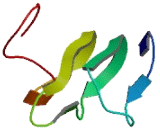 Chromosome 21 Open Reading Frame 2 (C21orf2)