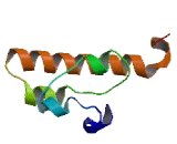 Chromosome 21 Open Reading Frame 37 (C21orf37)