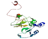 Spermatogenesis And Centriole Associated Protein 1 Like Protein (SPATC1L)