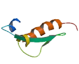 Chromosome 21 Open Reading Frame 62 (C21orf62)