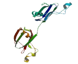 Eva-1 Homolog C (EVA1C)