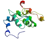 B3GALT5 Antisense Gene Protein 1 (B3GALT5-AS1)