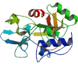 Guanylyl Cyclase Domain Containing Protein 1 (GUCD1)