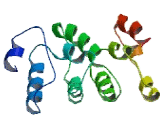 Chromosome 22 Open Reading Frame 15 (C22orf15)