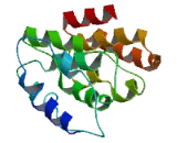 Chromosome 22 Open Reading Frame 23 (C22orf23)