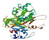 Chromosome 22 Open Reading Frame 28 (C22orf28)