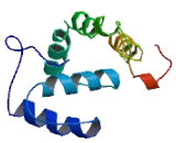 Chromosome 22 Open Reading Frame 31 (C22orf31)