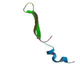 Single Pass Membrane Protein With Aspartate Rich Tail 1, Mitochondrial (SMDT1)