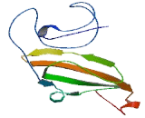 Chromosome 22 Open Reading Frame 37 (C22orf37)