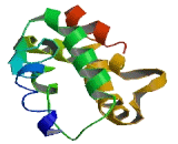 Cysteine Rich DPF Motif Domain Containing Protein 1 (CDPF1)