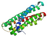 Chromosome 22 Open Reading Frame 42 (C22orf42)