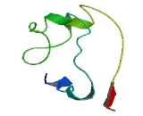 Chromosome 22 Open Reading Frame 46 (C22orf46)