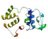 Chromosome 22 Open Reading Frame 9 (C22orf9)