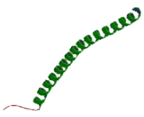 Bub1 Related Kinase (BRK1)