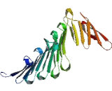 Chromosome 3 Open Reading Frame 17 (C3orf17)