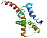 T-Cell Activation Inhibitor, Mitochondrial (TCAIM)