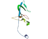 FANCD2 Opposite Strand Protein (FANCD2OS)