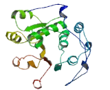 Cms1 Ribosomal Small Subunit Homolog (CMSS1)