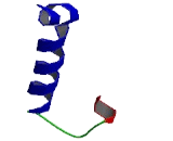 Chromosome 3 Open Reading Frame 30 (C3orf30)