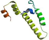 Ssu2 Homolog (SSUH2)