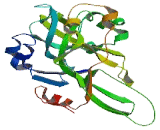 Embryonic Stem Cell Specific 5-Hydroxymethylcytosine Binding Protein (HMCES)