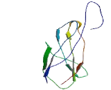 Protein O-Linked Mannose Beta-1,2-N-Acetylglucosaminyltransferase 2 (POMGNT2)