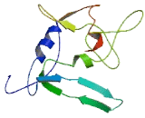 Leucine Rich Single Pass Membrane Protein 2 (LSMEM2)