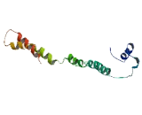 Chromosome 3 Open Reading Frame 62 (C3orf62)