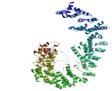 Family With Sequence Similarity 208, Member A (FAM208A)