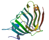 Chromosome 3 Open Reading Frame 70 (C3orf70)